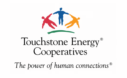 TSE Logo
