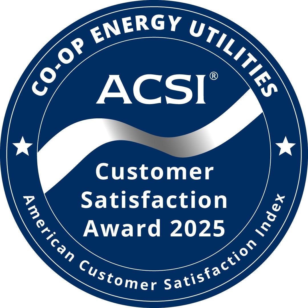 ACSI--Customer Satisfaction Award 2025 logo